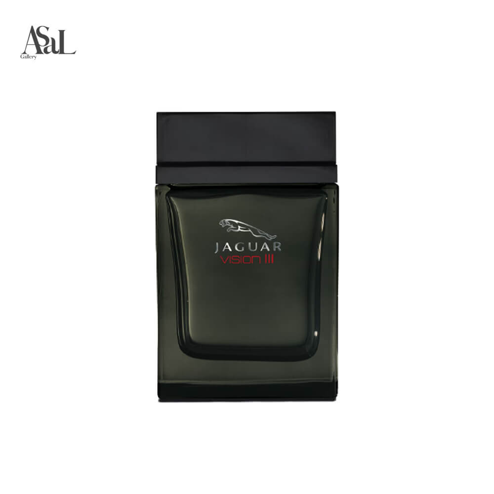 Jaguar Vision III Jaguar for men (1)